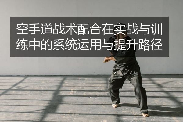 空手道战术配合在实战与训练中的系统运用与提升路径